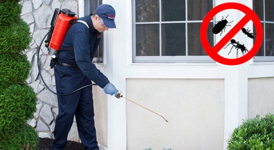 Devrek Gümüşkurt İlaçlama böcek ilaçlama ve haşere kontrolü — ilaclama-tr.com